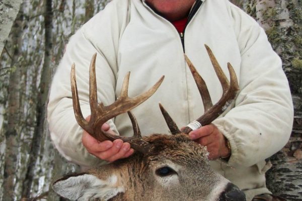 Allens White Tail Deer Buck at Elusive Saskatchewan Whitetail Outfitter