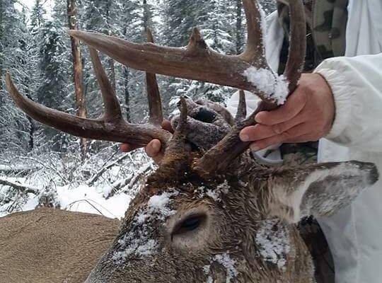 Joey tagged this big bodied Whitetail Buck