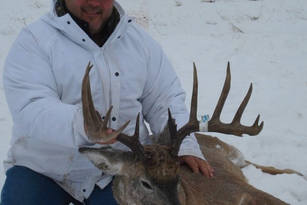 Nice 5×6 whitetail buck at Elusive Saskatchewan Whitetail Outfitter